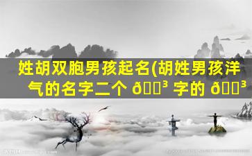 姓胡双胞男孩起名(胡姓男孩洋气的名字二个 🐳 字的 🐳 )